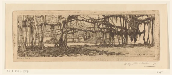 Árboles Waringin en un jardín de Buitenzorg
En el jardín de Buitenzorg (título original)