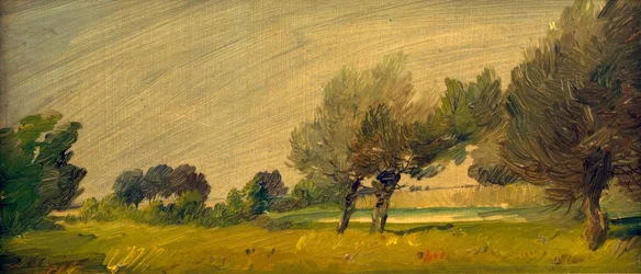 Paisaje de verano verde – Sauces en el estanque
