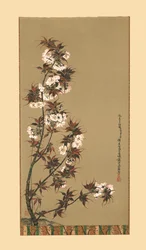 Las flores de cerezo de Mikawa, siglo XIX, 1886