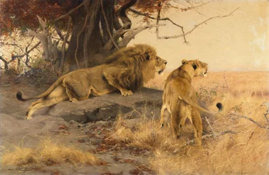 Un león y una leona en la sabana