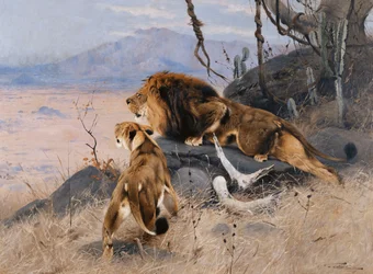 León y leona; Lowe und Lowin