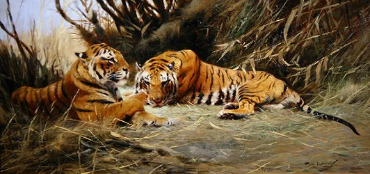 Tigres siberianos