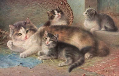 Postal felina (litografía en color)