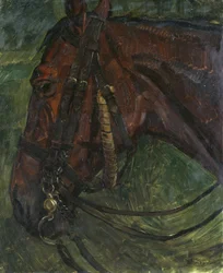 cabeza de caballo