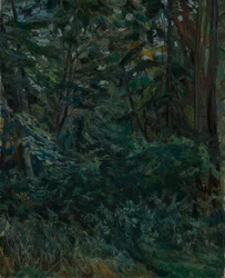 Interior de bosque