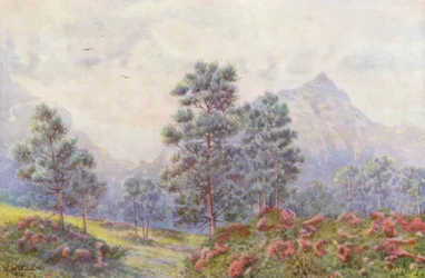 Árboles plateados y geranios silvestres (litografía en color)