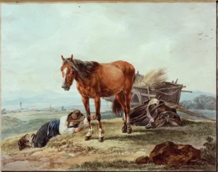Campesino durmiendo con caballo