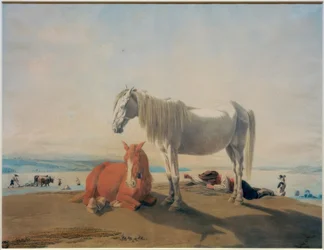 Caballos pastando en el lago Starnberg