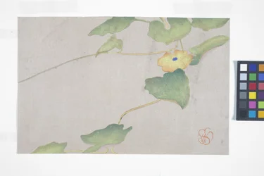 Estudio floral, c.1908 (xilografía en color)