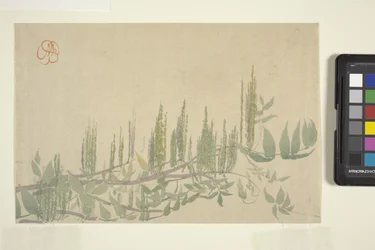 Wisteria, c.1908 (xilografía en color)