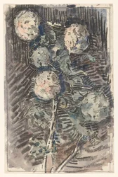 Rama con flores blancas