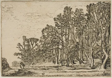 Paisaje con Cercas de Tablas y Hombre Cargando Madera