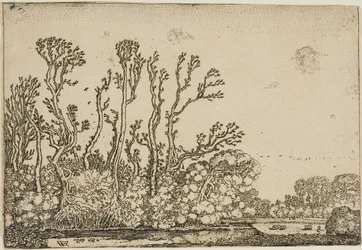 Paisaje con árboles, estanque y ovejas
