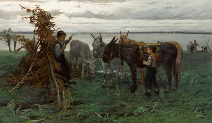 Niños arreando burros