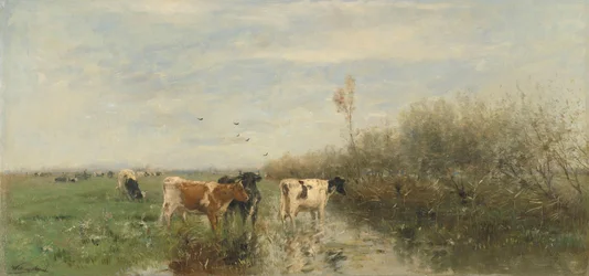 Vacas en un prado empapado