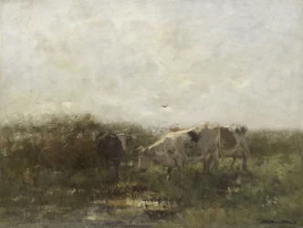 Vacas en un prado empapado