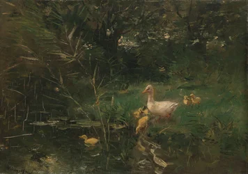 Patitos
