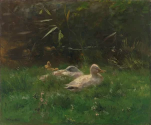 Eenden
