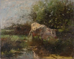 Pradera con vacas