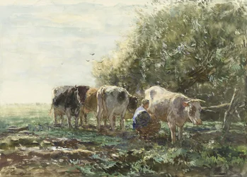 El corral de ordeño