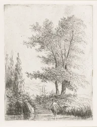 Paisaje montañoso con bañista