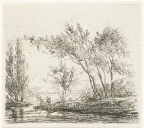 Paisaje con árboles junto al agua.