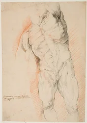 Estudio anatómico (écorché). Vista frontal de un hombre desollado de pie, con el brazo izquierdo levantado