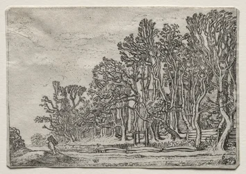 El conjunto de los paisajes: Dos setos de tablas, 1616