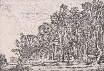 Dos setos de tablones, de Verscheyden Landtschapjes (Varios pequeños paisajes), Placa 6, ca. 1616