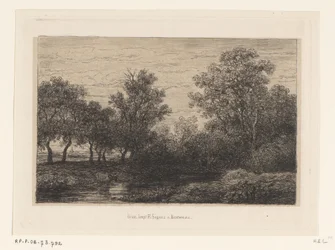 abeja