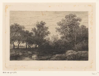 abeja