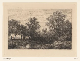 abeja
