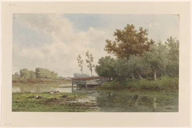 Paisaje con agua y patos