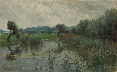 Praderas de agua en el río IJssel
