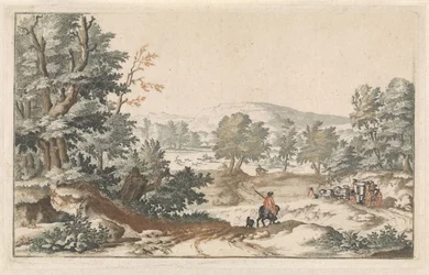 Paisaje boscoso con un camino