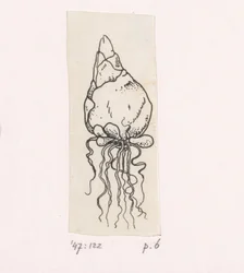 Bulbo de flor