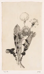 Diente de león