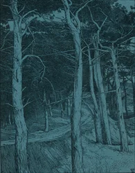 Bosque, c. 1912