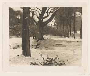 Paisaje forestal nevado en Ede