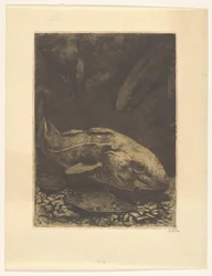 Peces y plantas acuáticas