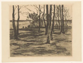 Árboles en el paseo marítimo de Valkeveen
