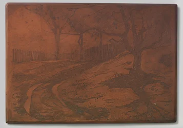 camino de dunas