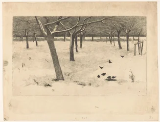 Huerto nevado con pájaros