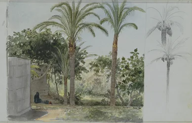 Oasis con palmeras