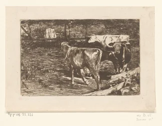 Cuatro vacas en un prado
Melkbocht (título original)