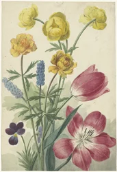Ramillete de tulipanes, pensamientos, uvas azules y dots