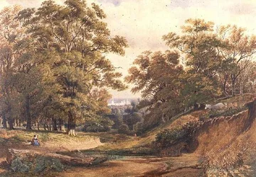 Una Escena en Bagley Wood cerca de Oxford