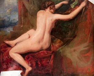 Desnudo femenino