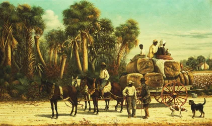 El carro de algodón