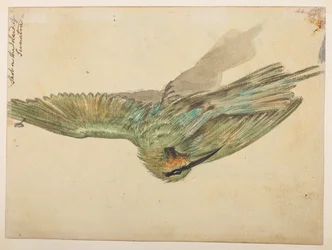 WD 959 sección 2 f.076v